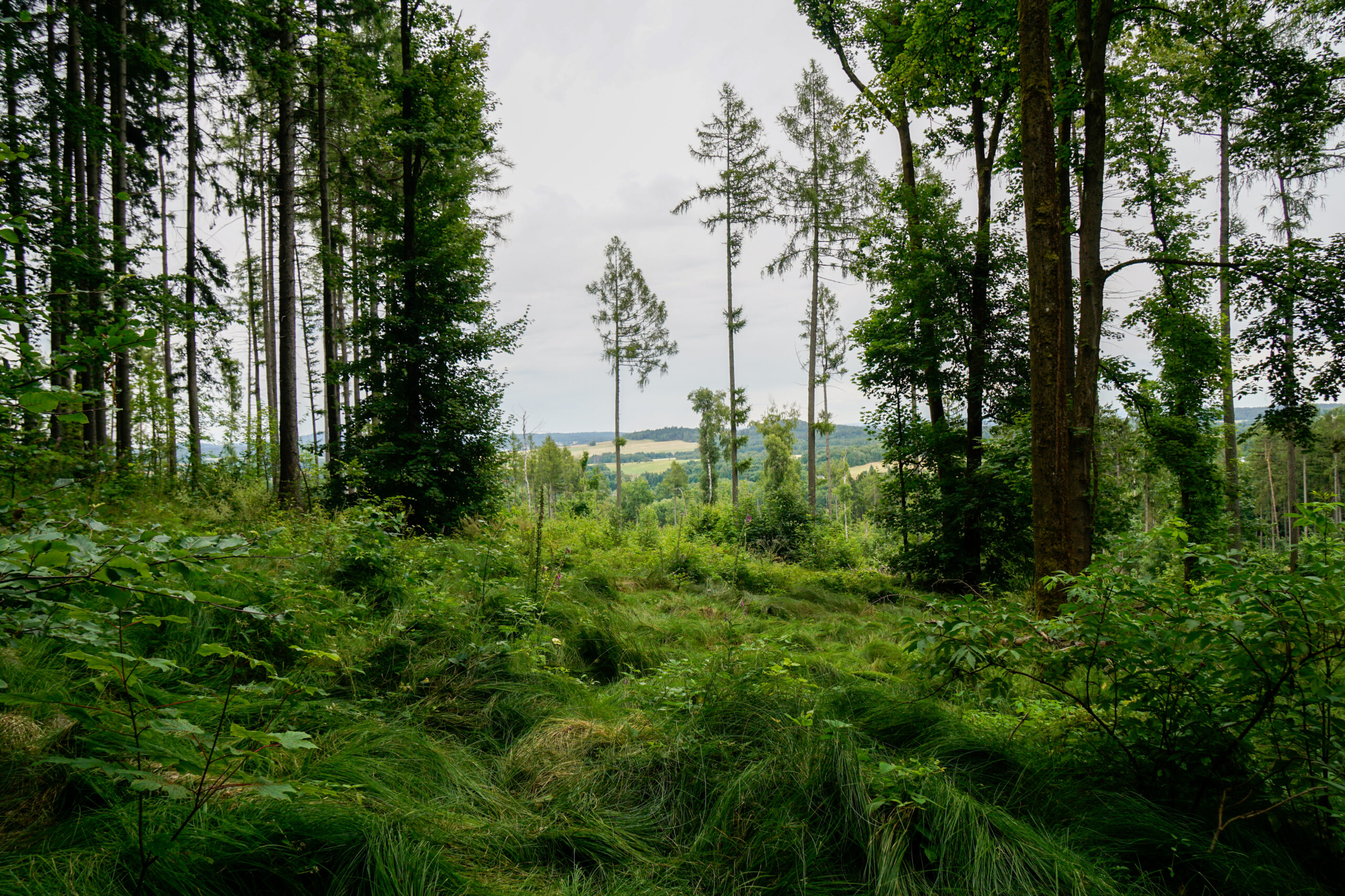 Krásná Lípa, Czechia