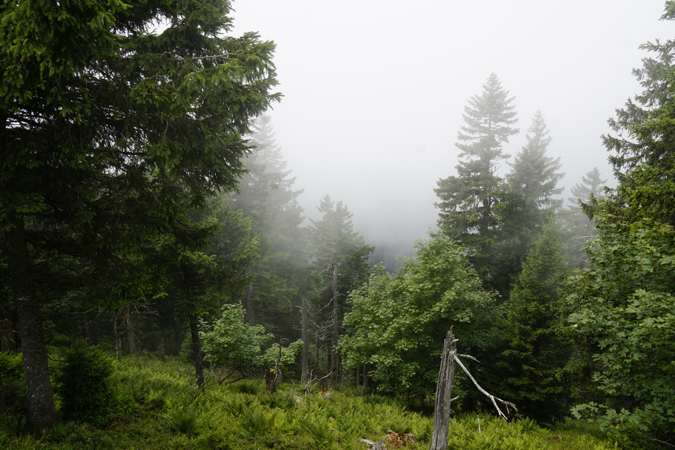Belchen, Germany