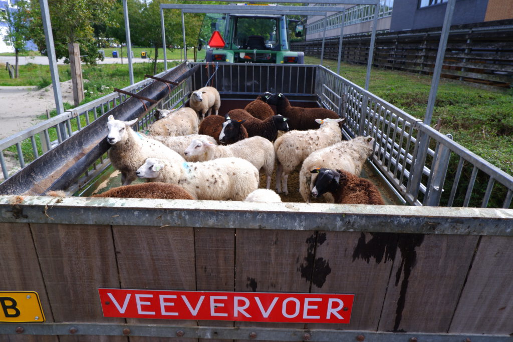 Utrecht, The Netherlands